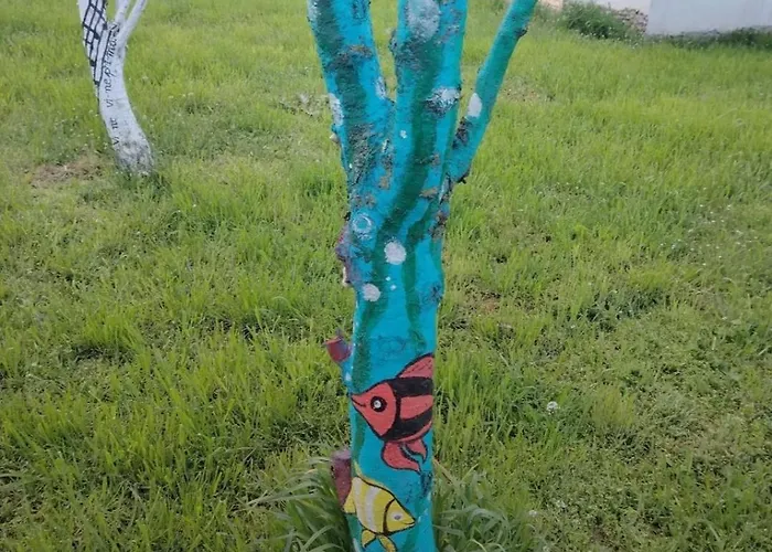 Taram De Poveste Villa *