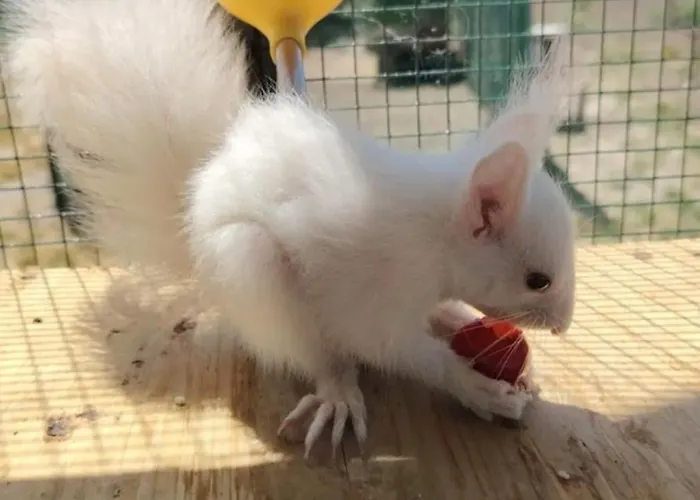 Taram De Poveste Villa Corbu (Constanta)