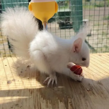 Taram De Poveste Villa Corbu (Constanta)